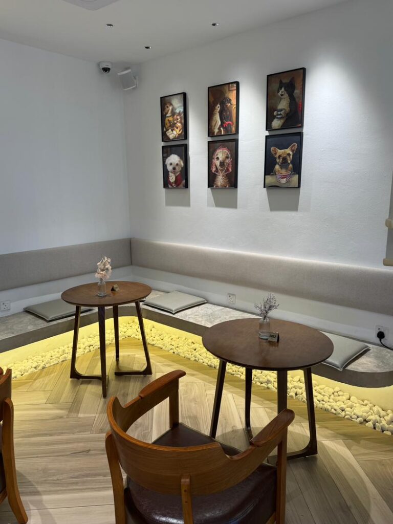 WhatsApp Image 2025-08-18 at 3.51.12 PM (1)