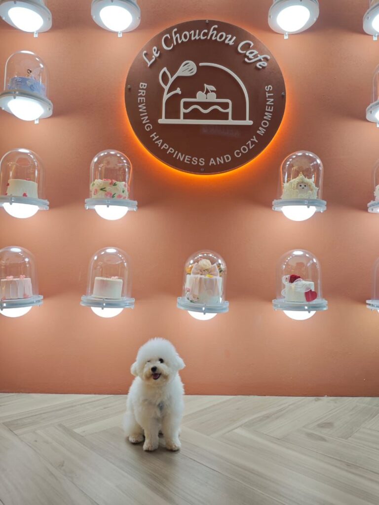 WhatsApp Image 2025-08-18 at 3.51.12 PM